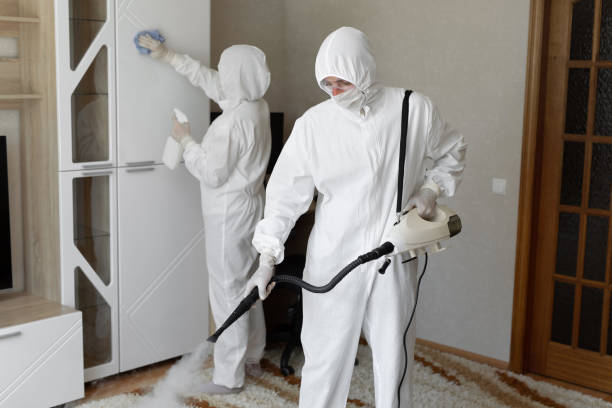 Best Mold Damage Repair  in Morganville, NJ
