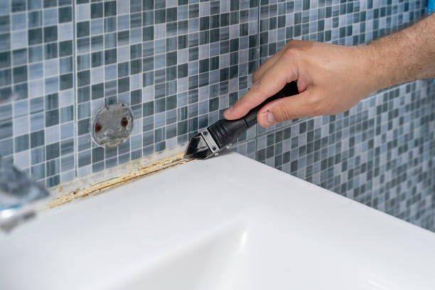 Best Mold Removal Near Me  in Morganville, NJ